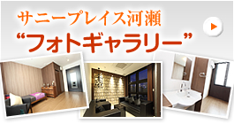 �T�j�[�v���C�X�͐��t�H�g�M�������[