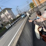 2021年4月1日お花見_210402_10