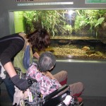 160526gifu (395) - コピー