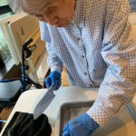 白玉あんみつ②_200829_59