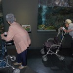 160526gifu (410) - コピー