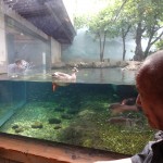 160526gifu (391) - コピー