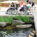 160526gifu (317) - コピー