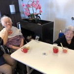 20210303おひな様_210304_209