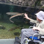 160526gifu (380) - コピー