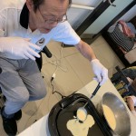 200916ミルクレープ作り①_200919_5