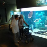 160526gifu (469) - コピー