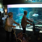 160526gifu (470) - コピー