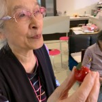 2020年11月24日ツリー飾りつけ_201130_4