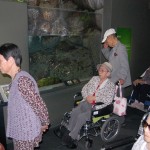 160526gifu (414) - コピー