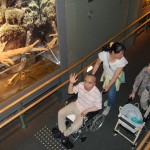 160526gifu (401) - コピー