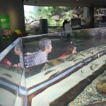 160526gifu (406) - コピー