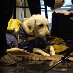 ｸﾘｽﾏｽ (34)_R